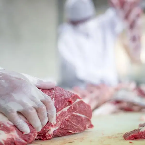 Jordan: Ministry assesses red meat industry challenges to boost competitiveness