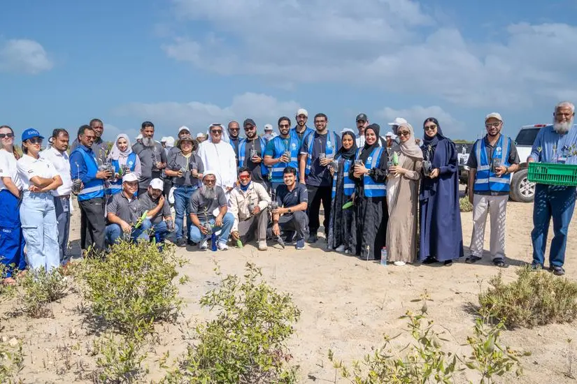 <p>ENOC employees plant mangroves on World Environment Day 2024</p>\\n