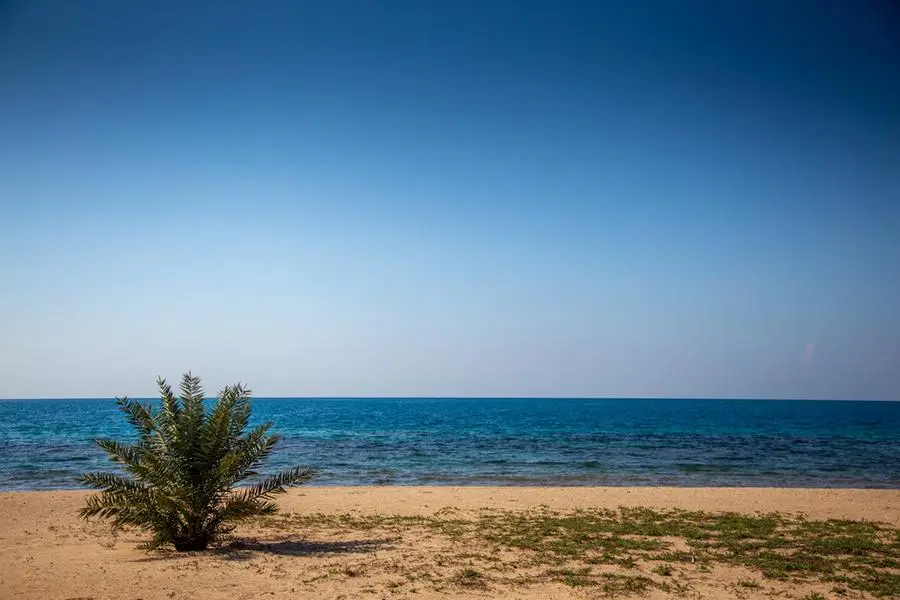 Getty Images/Moment RF