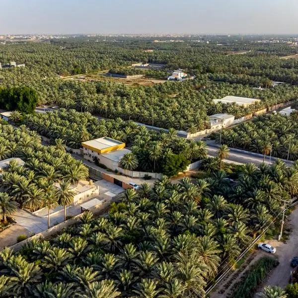 Over 95mln trees planted across Kingdom since launch of Saudi Green Initiative