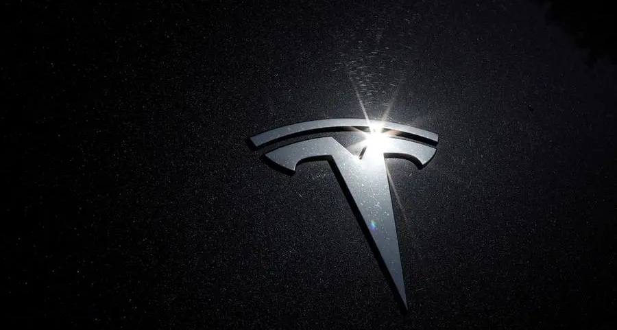 Tesla, Saudi Arabia in early talks for EV factory