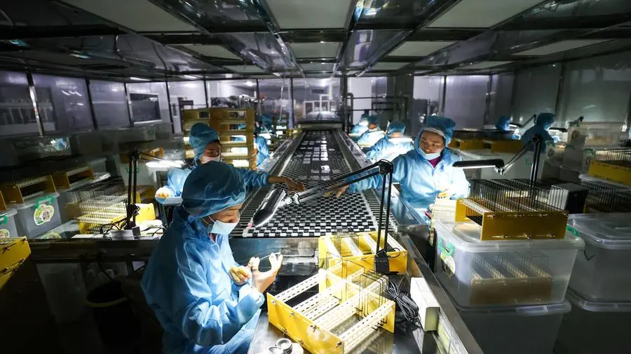 Chinese electronics firm eyes more facilities in Philippines