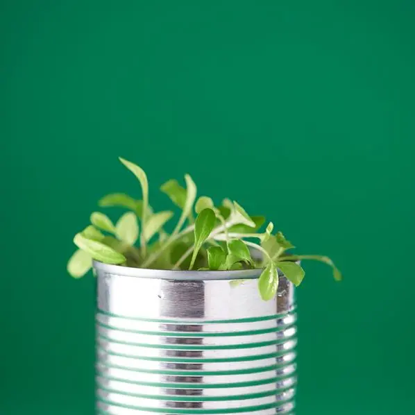 Oman: Green aluminium projects planned in Duqm SEZ