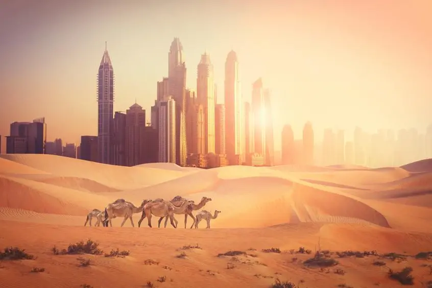 Photomontage of Dubai city in the desert with camels. Image Courtesy: Getty Images , Getty Images/Getty Images