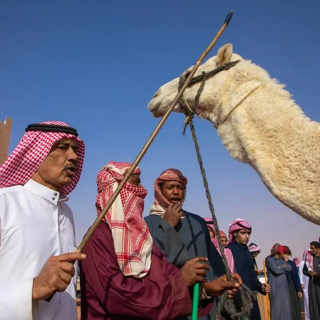$18.66mln in prizes up for grabs as Riyadh gears up for inaugural Camel Festival