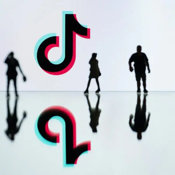 TikTok's US future hangs in balance at federal court