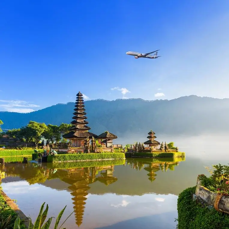 Etihad Airways to operate to Jaipur and Bali over next two months