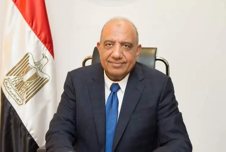 Minister of Public Enterprise Sector, Mahmoud Esmat