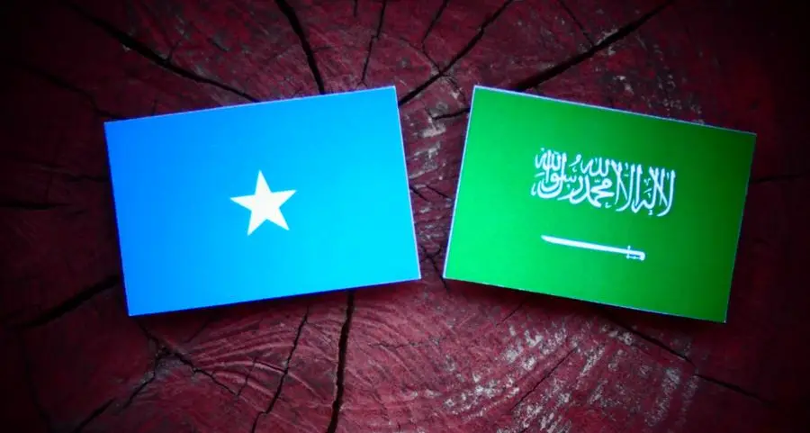 Saudi Arabia, Somalia sign security cooperation agreement