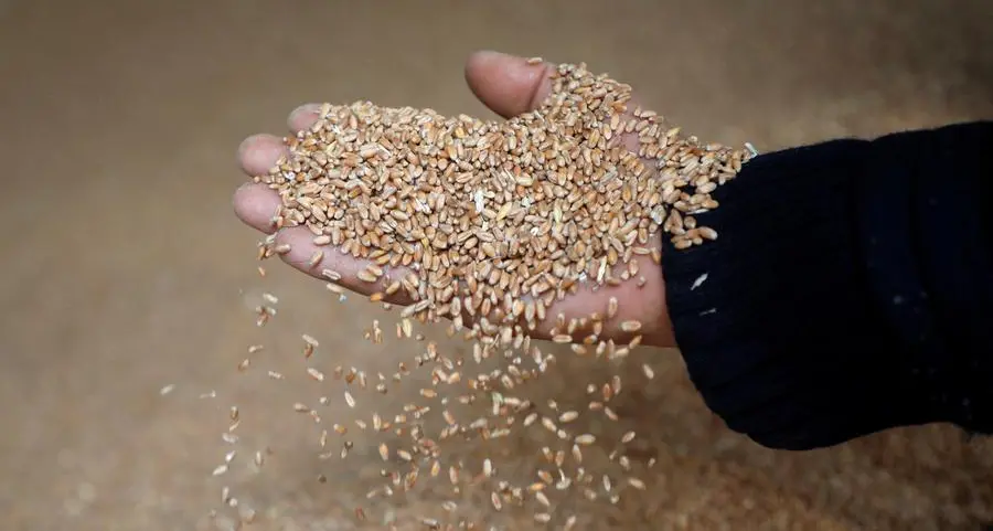 Funds retained bullish U.S. grain, oilseed views ahead of late-month sell-off - Braun