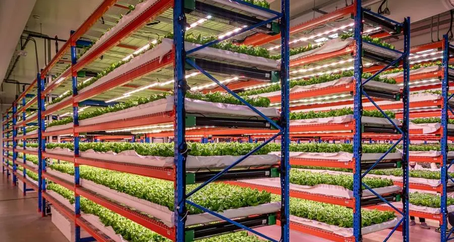 Emirates Flight Catering breaks ground on $44mln laundry facility