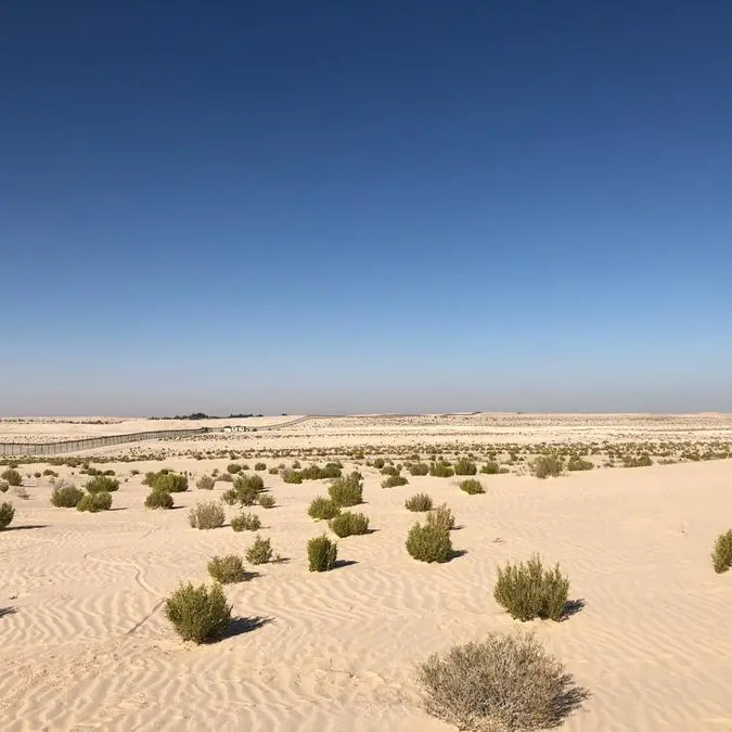 هيئة البيئة – أبوظبي تحدد موسم الرعي في إمارة أبوظبي ابتداء من 1 مايو وحتى 15 أكتوبر من كل عام
