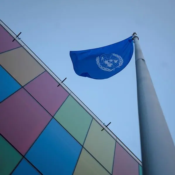 Decarbonising shipping to cost over $100bln per year: UN
