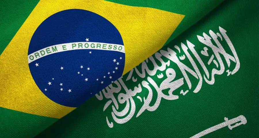 Saudi Defense Minister and Brazilian VP sign cooperation agreement