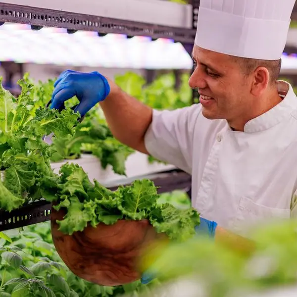 Inside this innovative indoor hydroponic farm in the Maldives