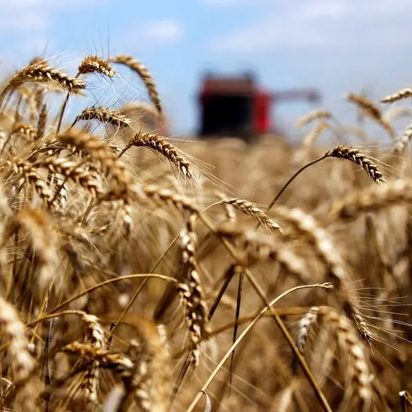 Ukraine's April grain exports rise to 6.3 mln tons, ministry says