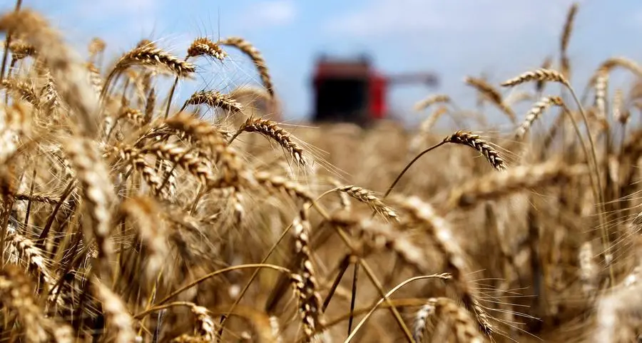 Ukraine's April grain exports rise to 6.3mln tons, ministry says