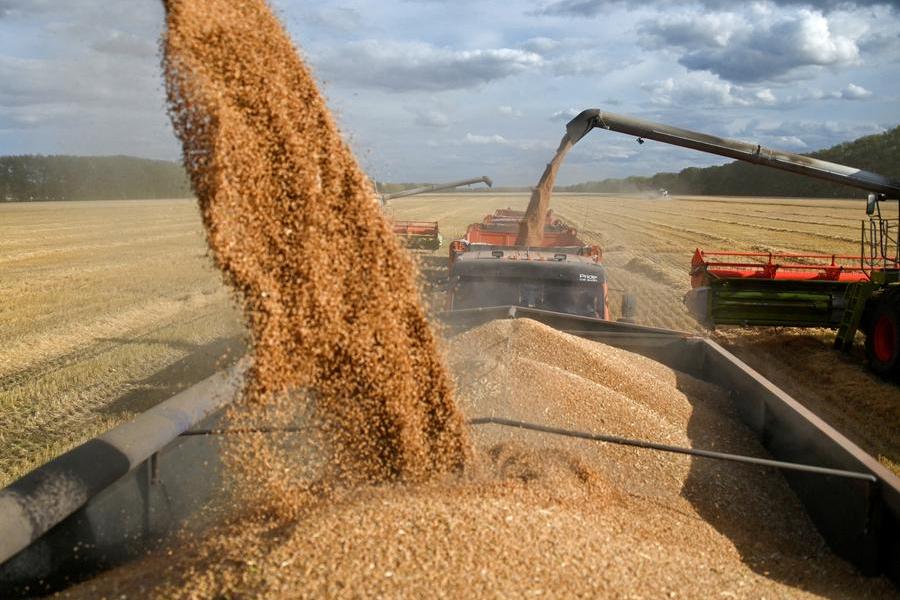 Egypt’s imports of Russian wheat surge 39% YoY in 2023