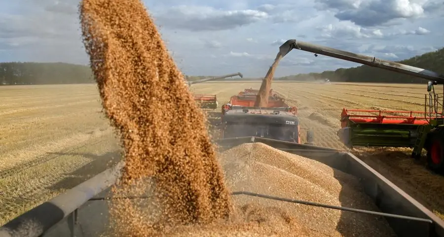 Wheat, corn, soy futures fall on uncertain demand, US weather
