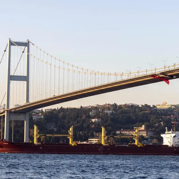 Grain vessel inspections resume at the Bosphorus, JCC says