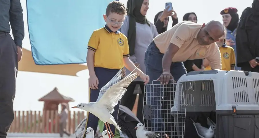 Environment and Protected Areas Authority in Sharjah releases 158 healthy seabirds