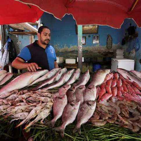 مُحدث- معدل التضخم السنوي في مصر يرتفع إلى 37.4% في أغسطس