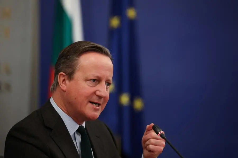 UK's Cameron vows to protect Falkland Islands