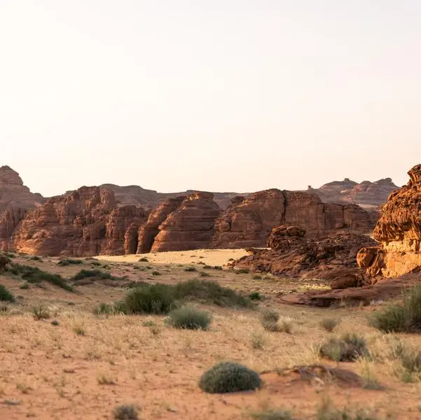 3 unique experiences to celebrate Saudi National Day