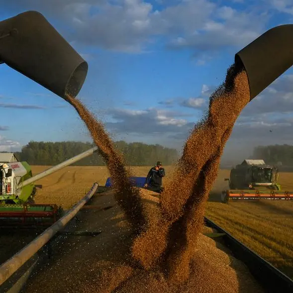 Wheat hits 10-month high on expectations of lower Russian supply