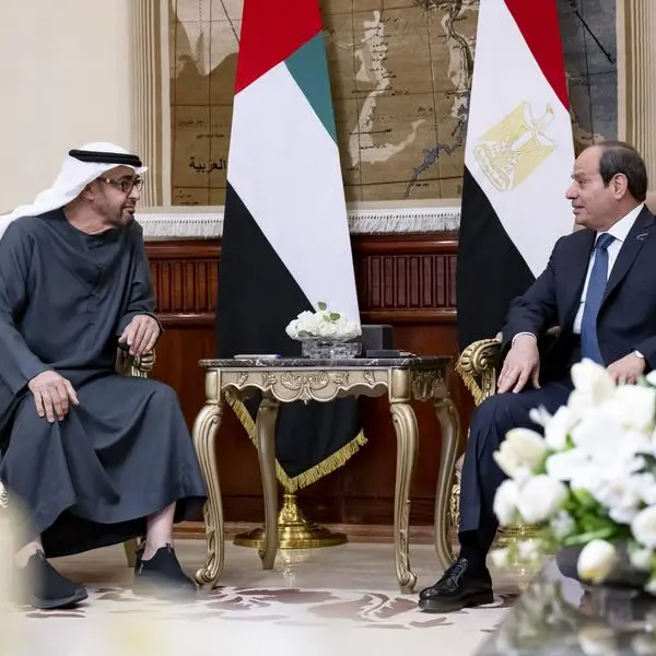 UAE and Egyptian Presidents hold meeting to discuss bilateral relations