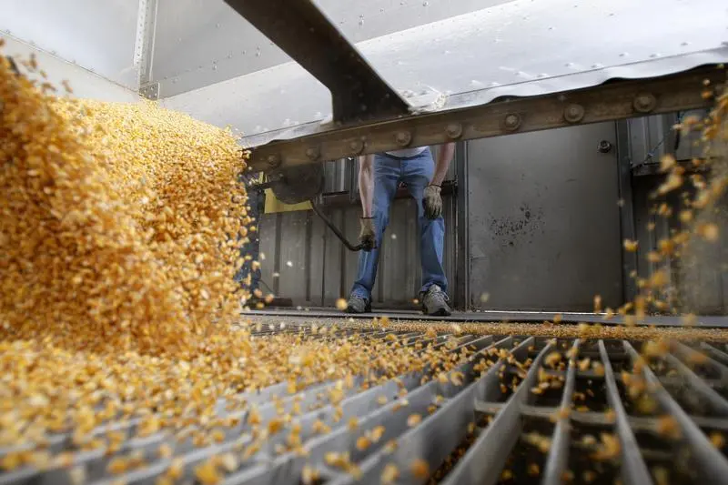 Drought in US Corn Belt reminiscent of both bad and good years