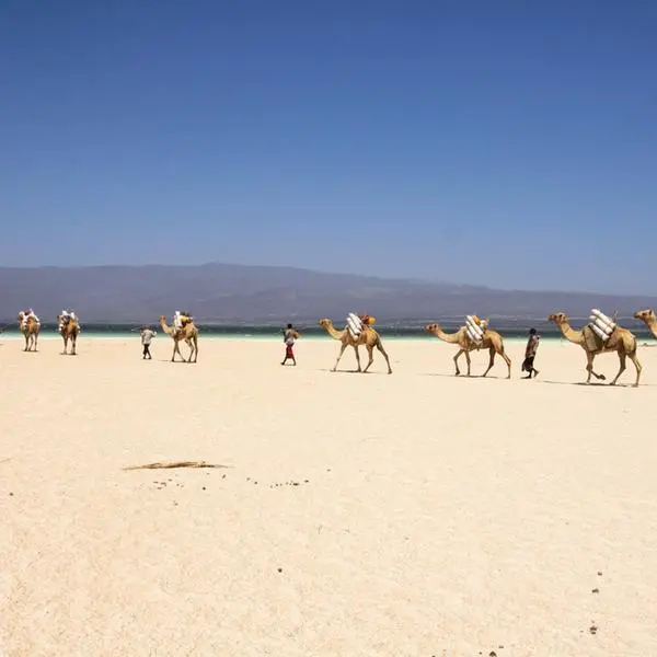 A currency stability that is unique in Africa