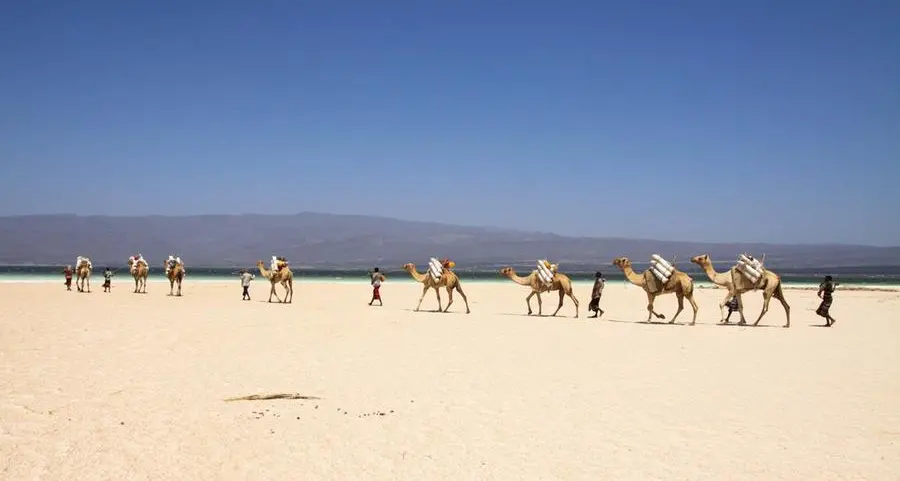 A currency stability that is unique in Africa
