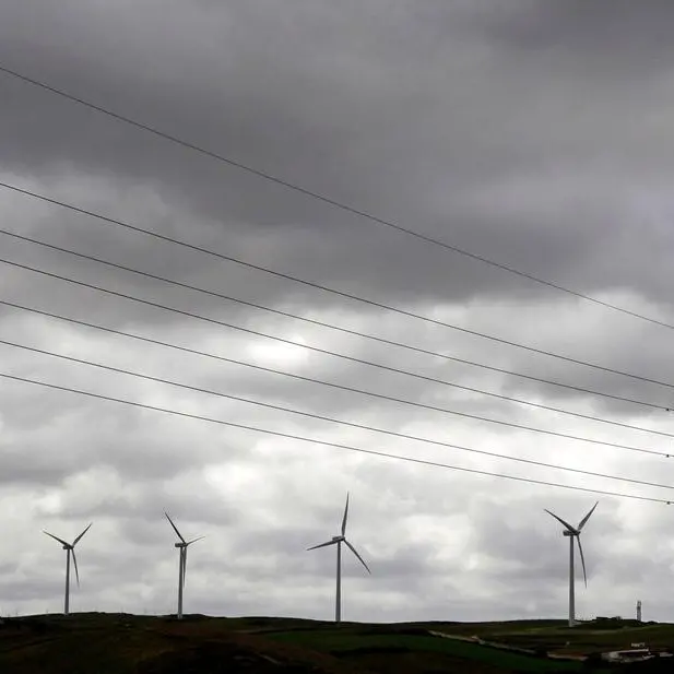 Saudi Electricity Company awards $906mln power project contracts