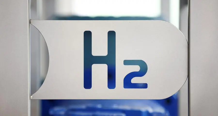 Germany, Morocco agree alliance to support green hydrogen production and exports
