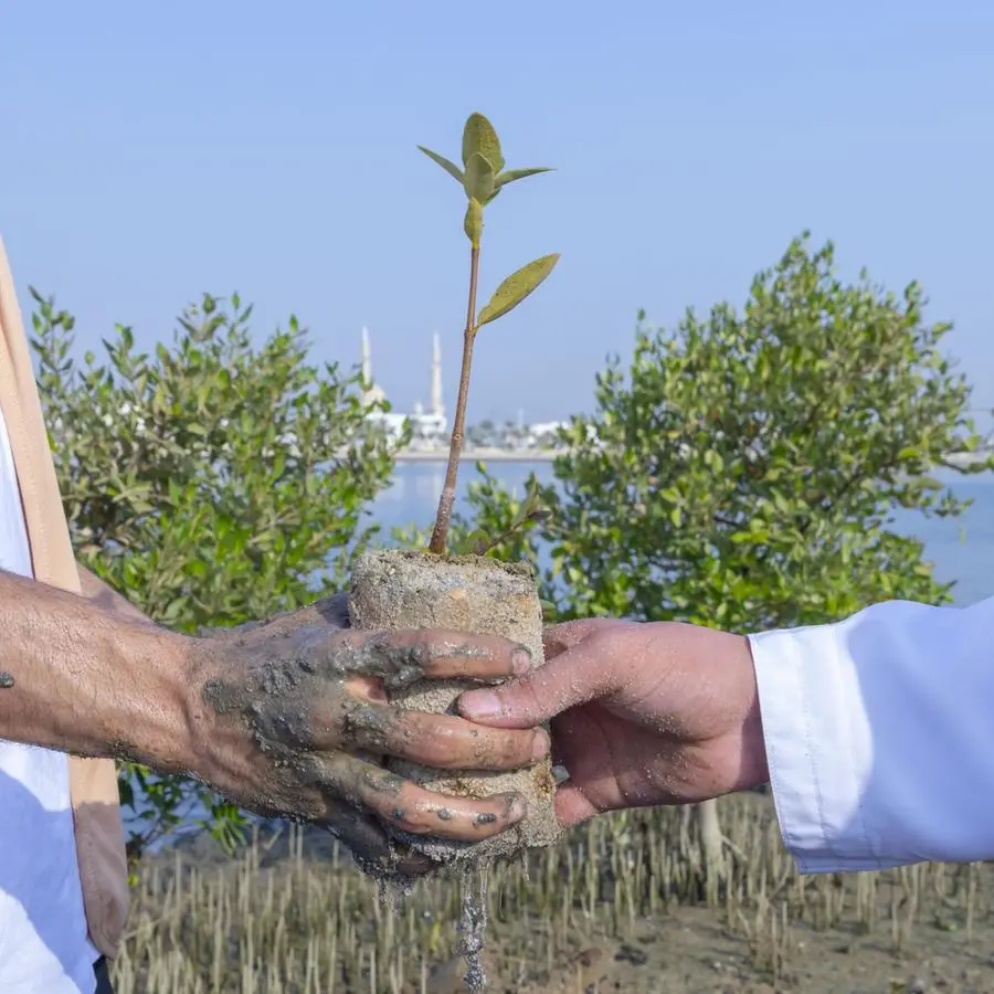 EPAA plants 1,300 seedlings as part of UAE's mangrove planting drive