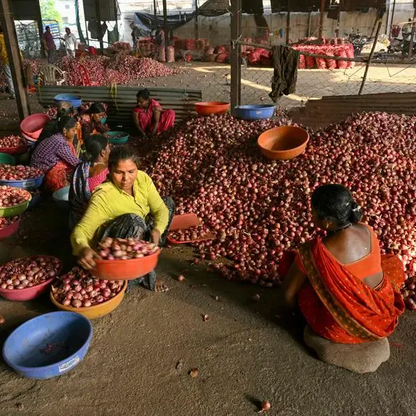 India's onion farmers cry foul at politicians' price recipe