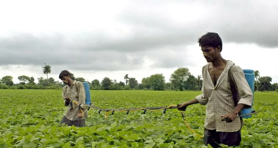 India's soybean imports jump to record in May on strong buying from Africa