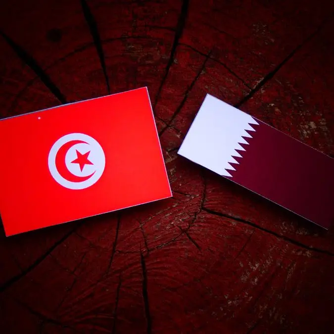 Ways to further boost cultural diplomacy between Tunisia and Qatar discussed