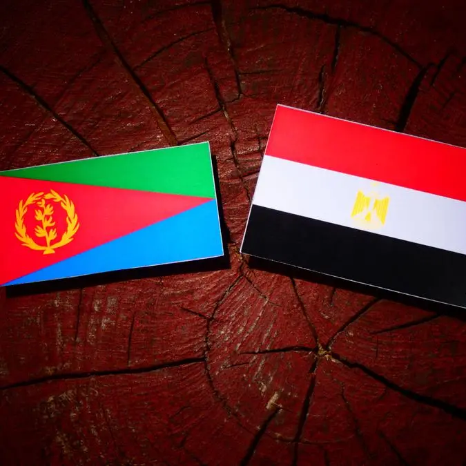 Egypt, Eritrea discuss regional issues, bilateral cooperation
