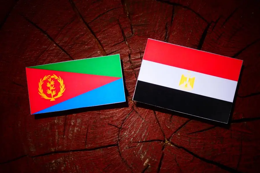 Egypt, Eritrea discuss regional issues, bilateral cooperation