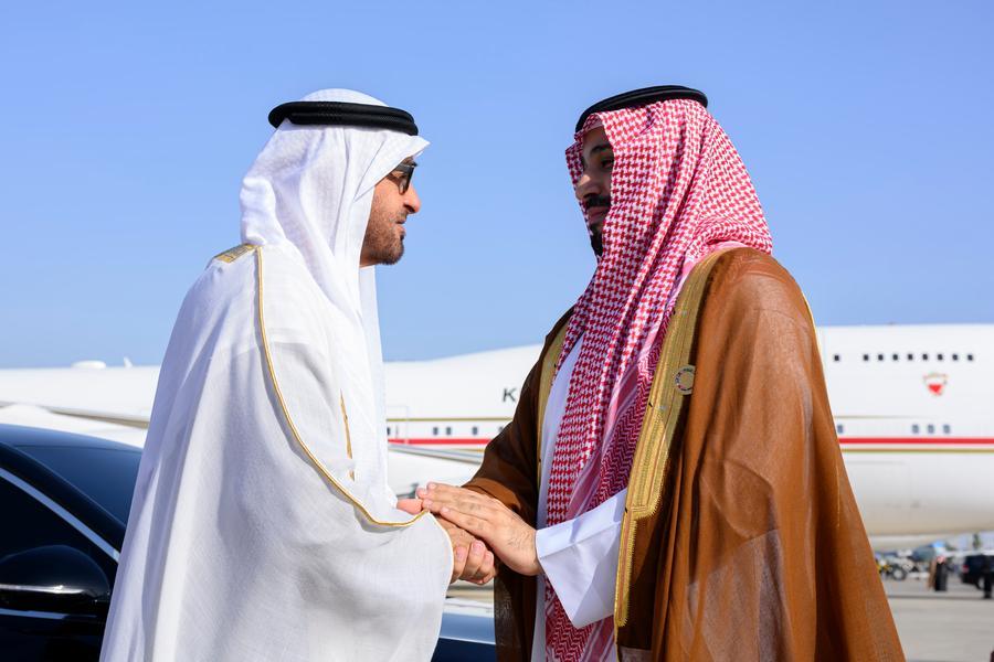 رئيس الإمارات يشيد بولي العهد السعودي ويقول إنهم يقفون معًا