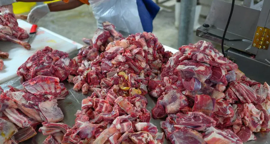 Nigeria: Enugu govt cracks down on sale of dead animals