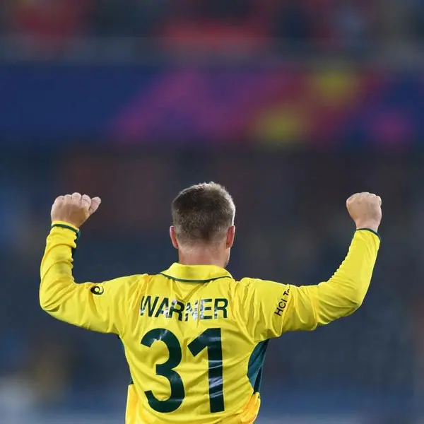 Australia's Warner out of India T20 series after World Cup exploits