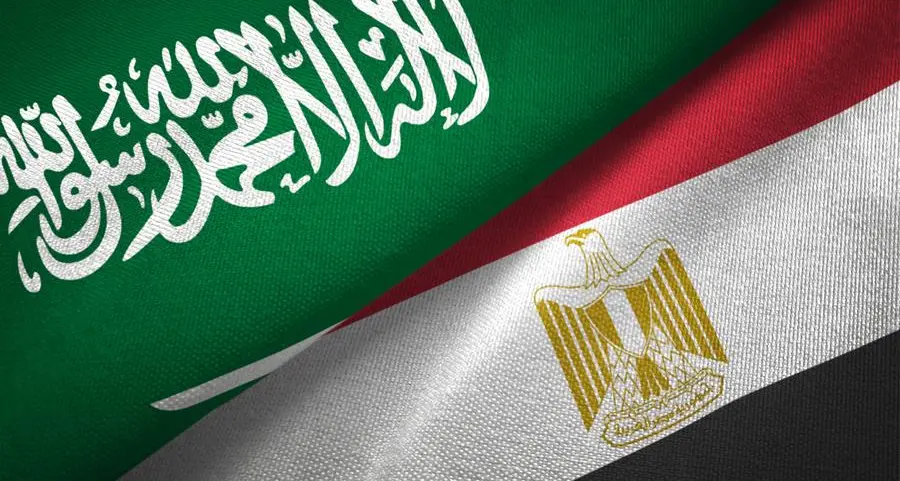 Saudi Egyptian Investment raises ownership in e-finance