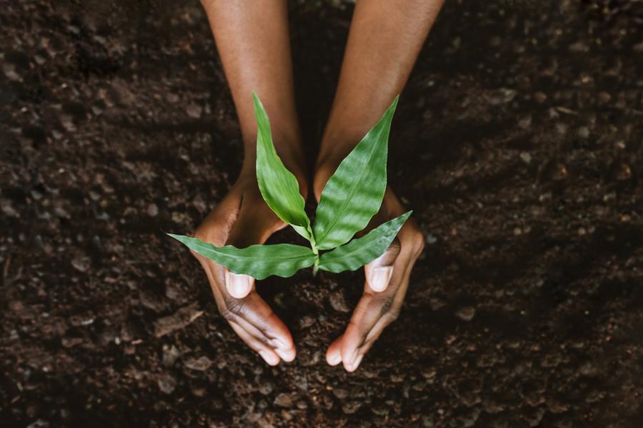 Measuring the green wealth of nations: Natural capital, economic ...