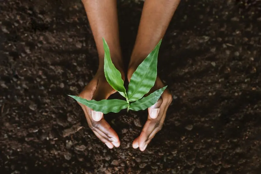 Image used for illustrative purpose. Getty Images , Getty Images