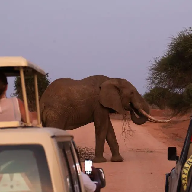 Kenya’s neighbours gain more from EAC tourism mobility