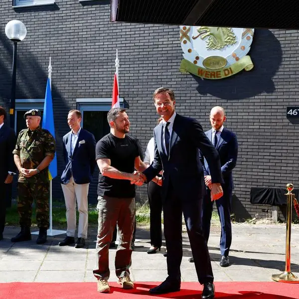 Ukraine's Zelenskiy in Netherlands in push to boost air defences