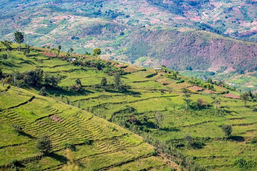 Climate change wiping out Africa’s traditional vegetables